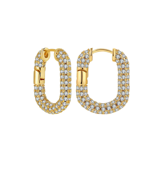 Shiny Hoops
