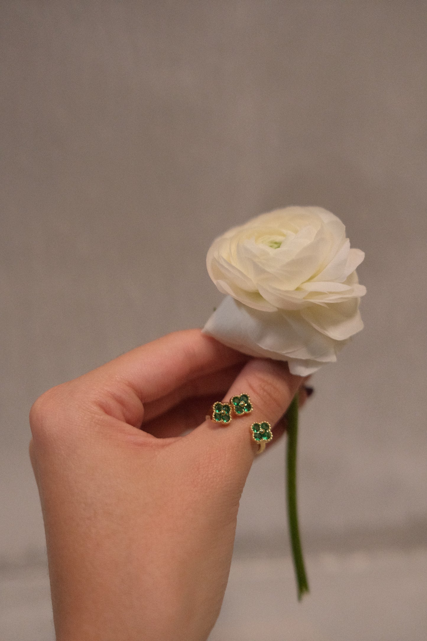 Anillo Estefania Dorado y Verde Edicion Limitada